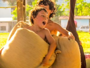 amazonia-10